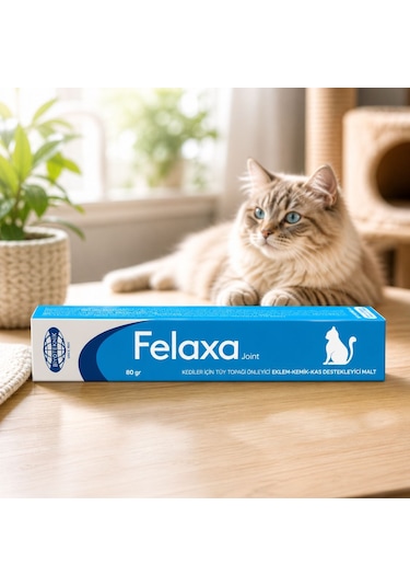 Felaxa Joint 80 Gr
