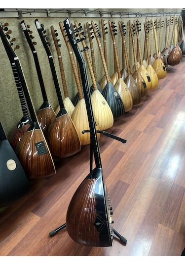 Profesyonel Ardıç Ağacı Manyetikli Elektro Bağlama