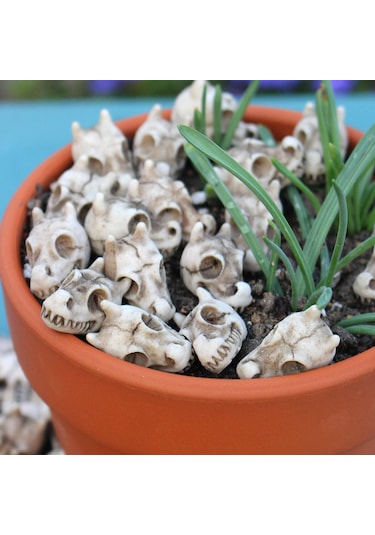 Suntek 20 Adet Ejderha Kemik Oyun Seti Heykel Vazo Dolgu 2.3cmx1.5cm