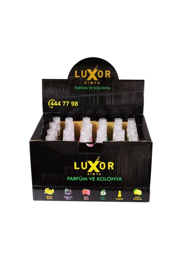 Luxor 24 Adet 50 ML Ev & Oto Koku Seti Özel Kutulu