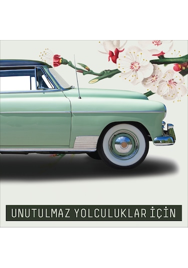 Vavana Araba Klima Kokusu, Spin Oto Kokusu Optimistic