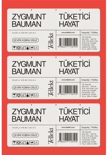 Tüketici Hayat - Zygmunt Bauman - Tellekt
