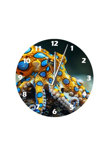 Ti-play Ahtapot Ve Renkler 30x30cm Akrilik Dekoratif Modern Duvar Saati ÇOk Renkli