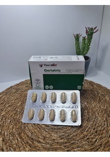 Theravet Geriatric 30 Tablet