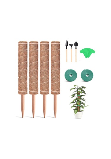 Padalink Bitkisel Tüp İçin 30cm Yüksekliği Ayarlanabilir, Su Ve Besin Tutan, Dayanıklı Hindistan Cevizi Lifli Ve Ahşaplı Tırmanan Bitki Tutucu Seti