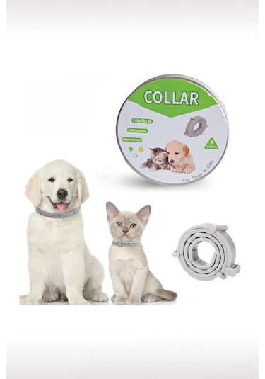 Kedi Anti Pire Kene Önleyici Tasma 38 Cm Pire Önleyici Tasma Kene Önleyici Tasma