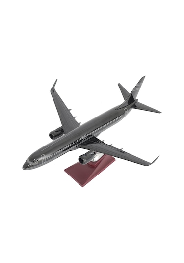 Zekupp Boeing 737-800 1/100 Ölçek Çizgi Detaylı Siyah Tasarımlı Model Uçak