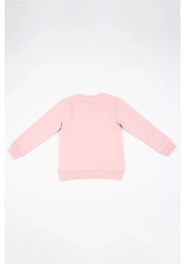 Kız Bebek Pembe Uzun Kollu Kuş Nakış Detaylı Kışlık Sweatshirt Pembe