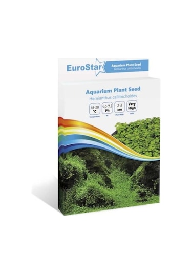 Eurostar Bitki  Tohumu  Hemianthus Callitrichoides