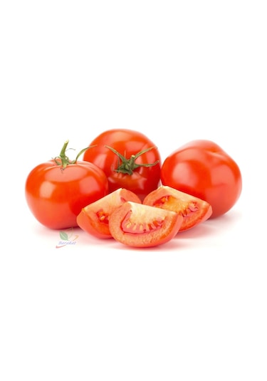 Sc 2121 Domates 1000 Tohumu
