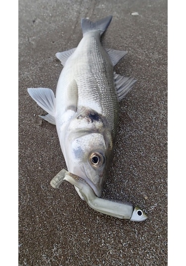 Fiiish Bm90/2 Bm009 Off Shore 10Gr. Kaki Jighead