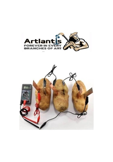 Elektrik Limon Deney Seti 1 Paket Limondan Elektrik Üretme Seti Limon Pili Fen Bilgisi Dersi Kimyasal Enerji