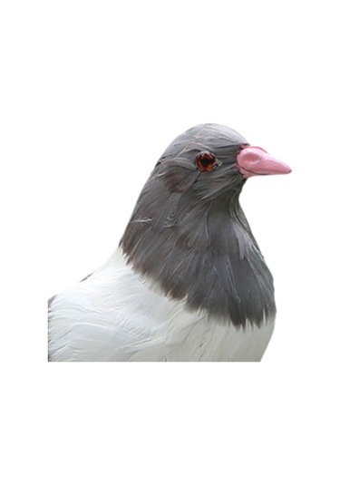 Suntek Simülasyon Güvercin Heykeli Zanaat Yard Avlu Daimi Gri