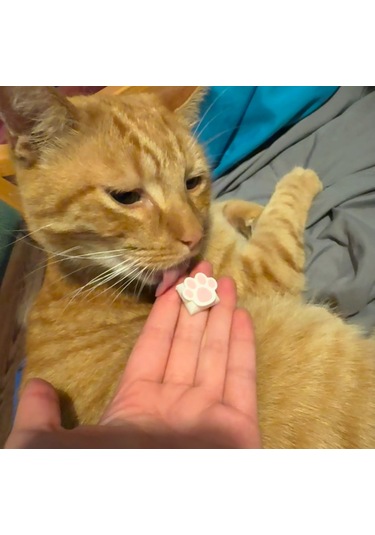 Kedi Patisi Keycap 3 Lü Set Sevimli Tuş Başlığı Cherry Mx Uyu