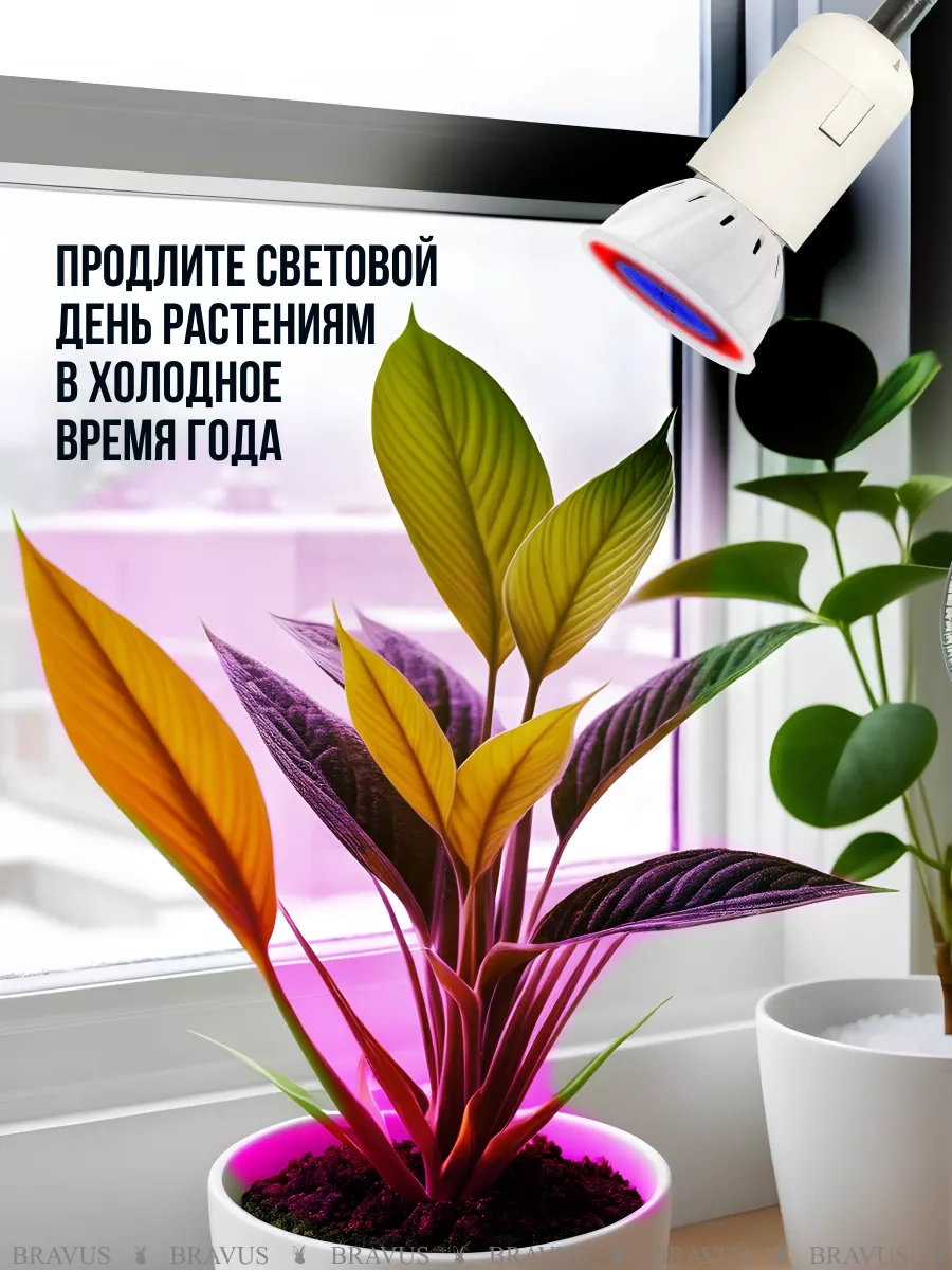 Bravus Fitolift Bitkileri İçin Fideye Uygun Uv Kelepçeli Lamba 196481213 Kırmızı