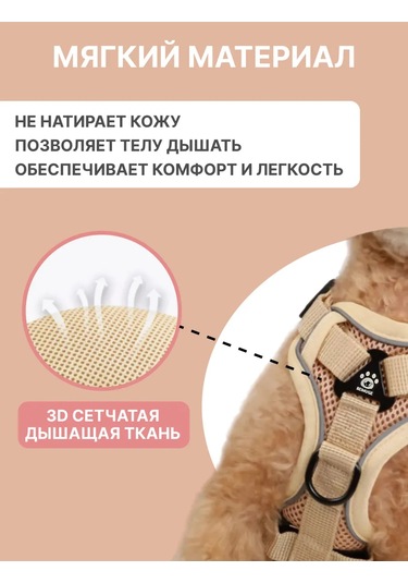 Tori Küçük Ve Orta Irklar İçin Tasmalı Köpek Kayışı Ve Kedi Şeridi 481285191