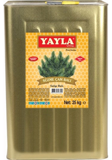 Yayla Süzme Çam Salgı Balı 25 Kg Teneke