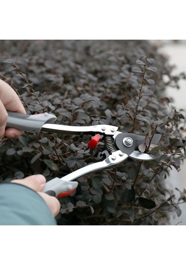 Pazly 2'si 1 Arada Saplı Çekilebilir Bahçe Makası - Manuel Budama Ve Ağaç Kesici