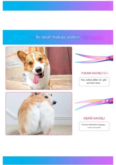 Esenliwe Deri Çantalı Pet Shop Evcil Hayvan Kedi Köpek Makası 3 Parça 17 CM