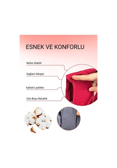 Alya Underwear Kadın Pamuklu Hipster - Slip Külot 5 Farklı Renk 1 Pakette P24