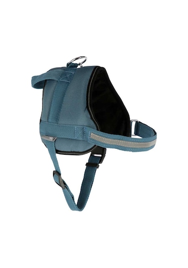 Belden Köpek Tasması Maestro 2.0 S  45-60 cm x 15 mm Mavi