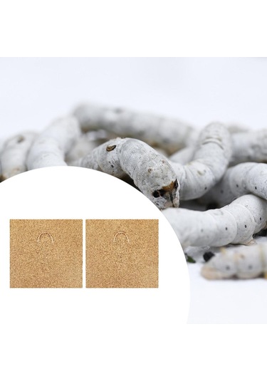 Suntek Solucanlar Battaniye Pencere Kutusu 60x60 Cm Ekici 2-adet