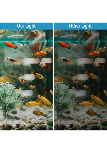 Padalink Nx3 Siyah Ultra İnce Led Akvaryum Işığı - Üç Renkli Işık, Yüksek Parlaklık, 10-45cm Akvaryumlar İçin, Avrupa Standartı 220v Soğuk Işık