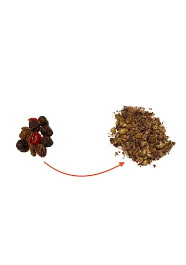 Beechef Şarjlı Rondo - Kahve & Baharat Öğütücü