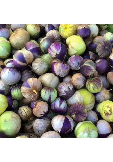 Bykurt Sunagri Mor Çilek Tohumu - 10 Adet Organik, Verimli, Lezzetli Mor Çilek Yetiştiriciliği 10 Adet