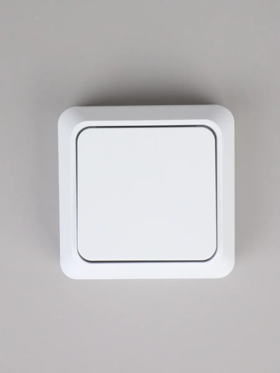 General Lighting Systems Yüzey Montajlı Tekli Tek Basmalı Anahtar 316957458