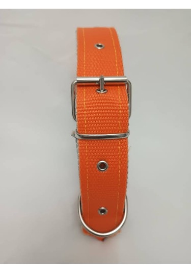 Kozaklı 10477 Büyük Irk Köpek Tasması Turuncu 70 x 4 CM
