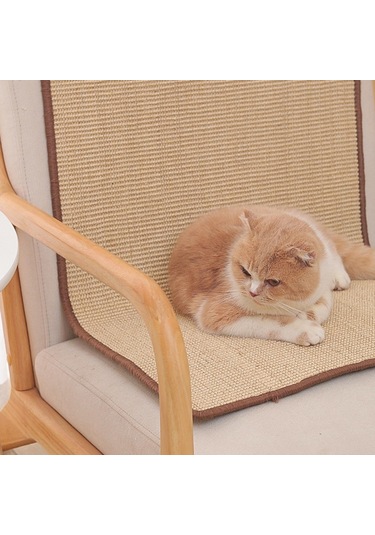 Suntek Kedi Tırmalama Matı Duvara Monte Mobilya Koruyucu 40cmx60cm