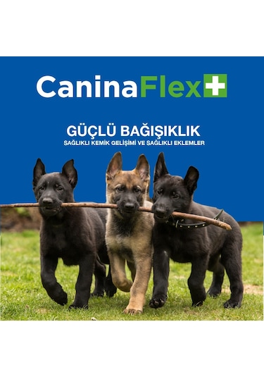 Canina Flex Collagen Glukozamin 3 x 350 G