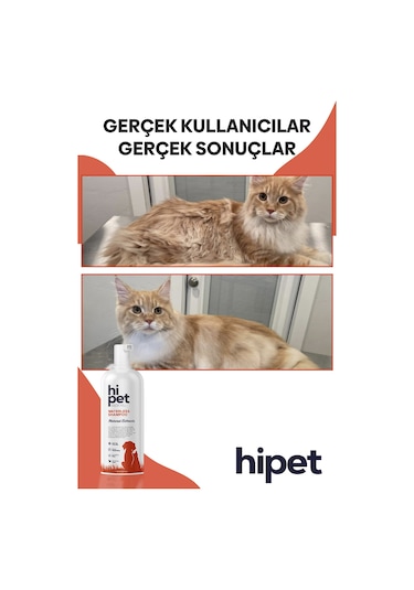 HiPet Kedi Kuru Şampuan