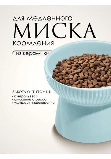 Vektorı Kedi Kabı Seramik 391812075