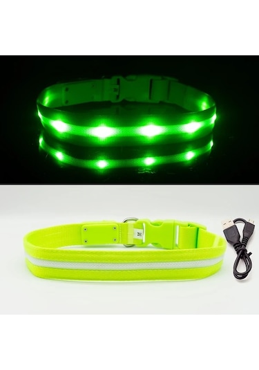 Honeybeeshop 1000 Metre Görüş Mesafeli Şarj Edilebilir Gece Yürüyüşleri İçin Kedi Köpek Tasması Blue M Renk Ve Beden Seçenekleri Altın