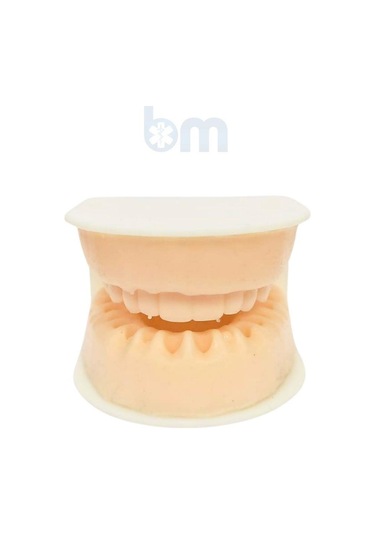 Barışhan Medikal Silikon Çene Diş Dikiş Modeli Ortodontik Alt Üst Çene Periodontal Sütür Eğitim Modeli-5