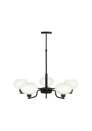 Vanna 5 Li Beyaz Camlı Salon Oturma Odası Modern Sarkıt Avize - Siyah Siyah