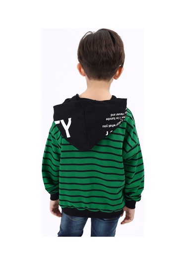 Toontoy Erkek Çocuk Speaker Baskılı Sweatshirt Çimen Yeşili
