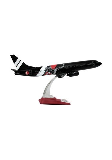 Zekupp Boeing 737-800 1/100 Ölçek Siyah Kartal Tasarımlı Maket Uçak