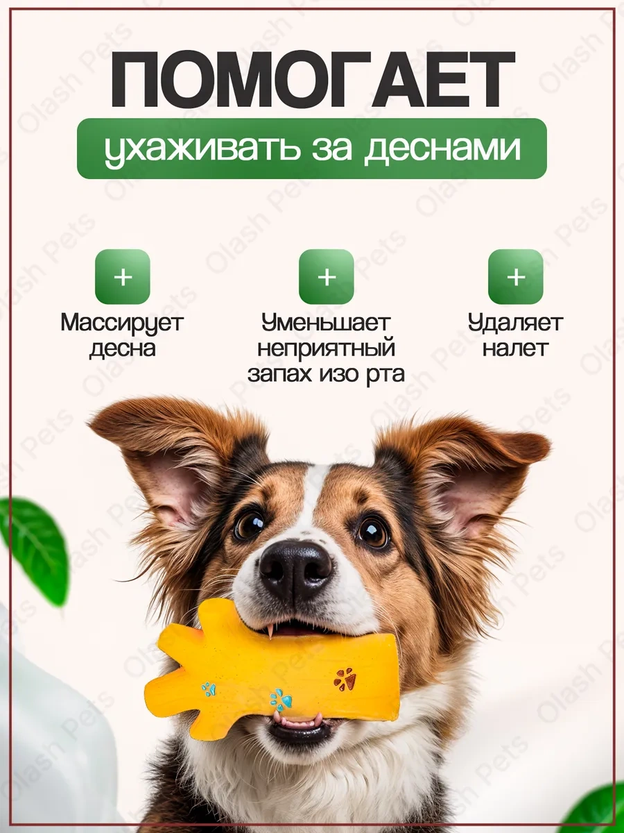 Olash Pets Köpek Oyuncağı Çıngırak Sallayan Oyuncak 399845165