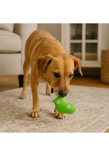 M-pets Christmas Yeşil Çorap Latex Köpek Oyuncağı 13 Cm