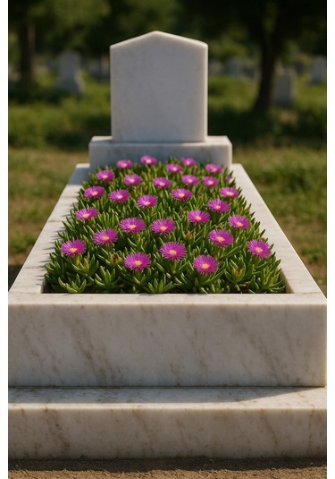 Mezar - Kabir Çiçekli Bitki Seti - 90 Adet Kaz Ayağı + 20 Kg Dolo