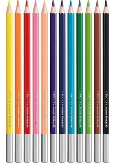 Aquarell Kuru Boya 12'li P-700672