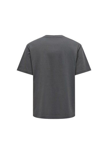 Only & Sons Erkek Onsfred Bisiklet Yaka Kısa Kollu T-shirt 22022532 Füme Füme