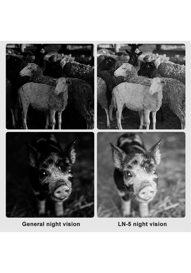 Ordro Ln-5 Mini Ir Video Kamera Gece Görüş Işığı Siyah Siyah