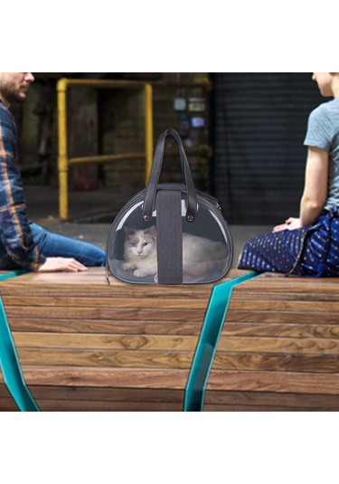 Homyl Kedi Taşıyıcı Köpekler Yavru Yavruları Gine Domuzu