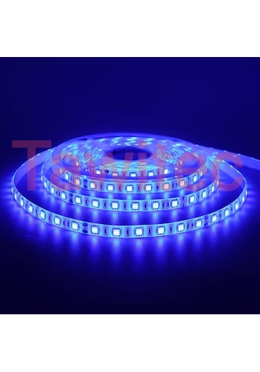 3 Çipli Silikonlu Şerit Led Mavi Renk 12 Volt Dış Mekan 5050