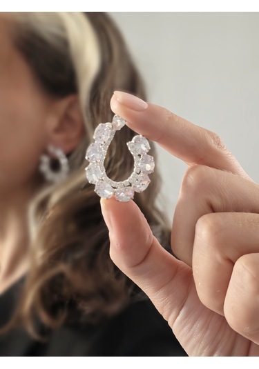 Çiçek Model Zirkon Taşlı Abiye Gümüş Renk Küpe Gümüş