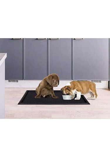 Çok Amaçlı Havuzlu Hijyen Paspası